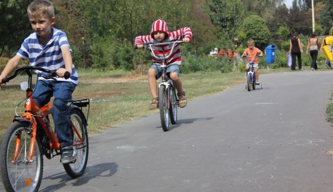 Primăria Medgidia amenajează parcurile din oraș - parc-1375963939.jpg
