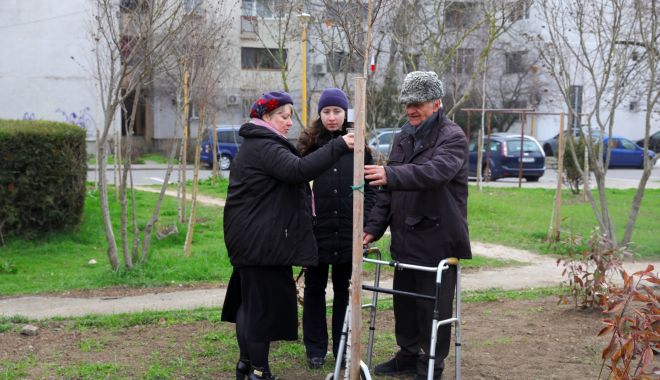 Constănțenii au un parc în memoria persoanelor dragi, trecute în neființă - parc-1709459241.jpg