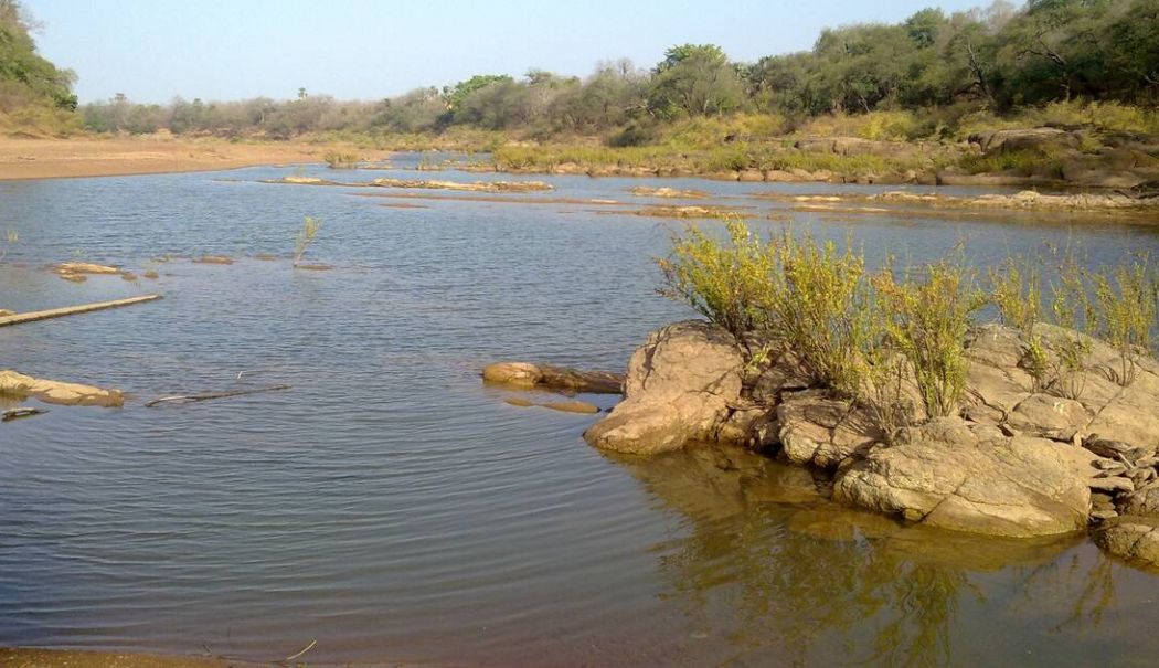 UNESCO retrage cel mai mare parc natural din Senegal de pe Lista Patrimoniului Mondial în Pericol - parc-senegal-1721909530.jpg