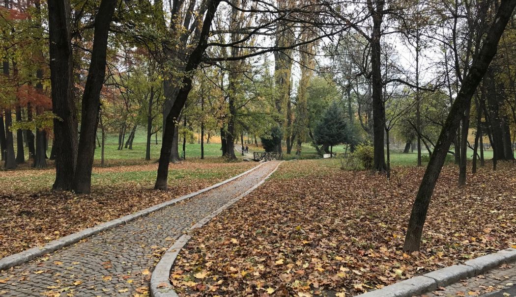 O femeie a fost jefuită într-un parc de doi tineri. Unul dintre atacatori are doar 13 ani