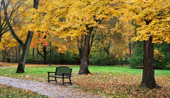 Prognoza pentru următoarele patru săptămâni. Meteorologii ne spun dacă vin temperaturile de iarnă - parctoamna34224220-1667901025.jpg