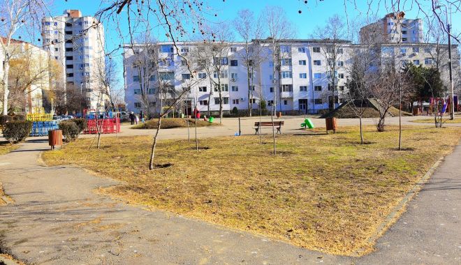 Parcul Dragoslavele devine zonă de agrement la standarde europene - parculdragoslavelesursaprimariac-1583321698.jpg