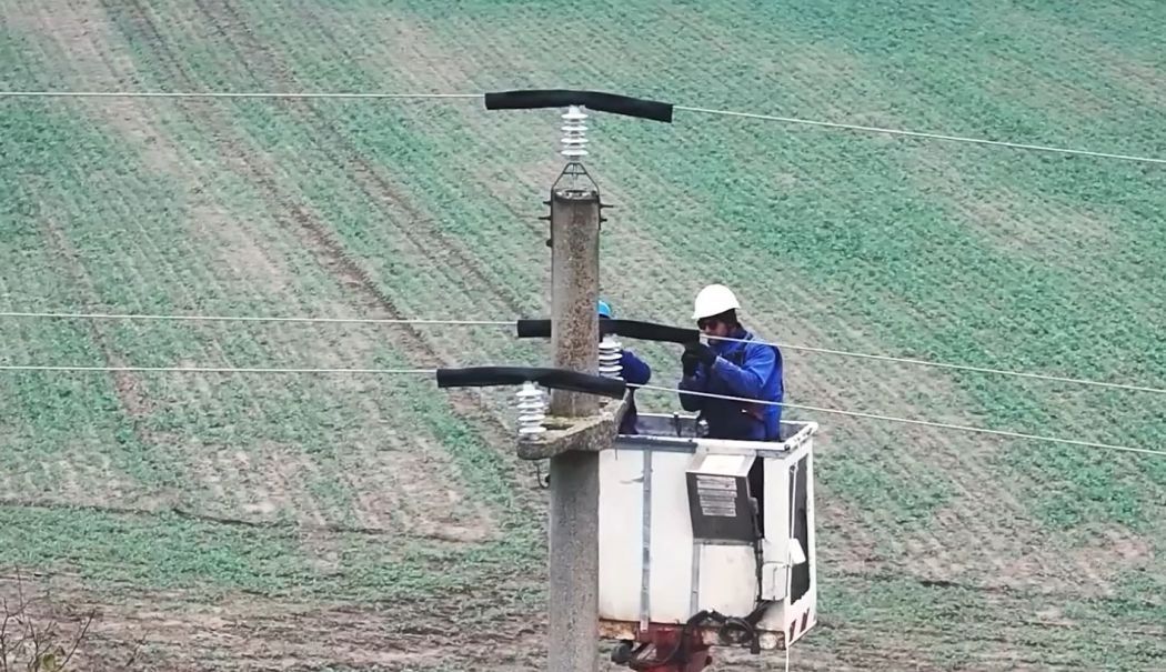 Linii electrice sigure pentru păsările din Dobrogea - pasari-1737554866.jpg