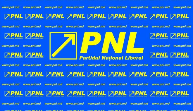 DEMISIE de la conducerea PNL! - pavlicencomdpnlsiglalogo-1559547611.jpg