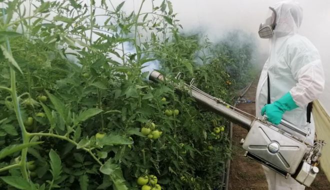 Pedepse aspre pentru utilizarea necorespunzătoare a substanțelor chimice foarte periculoase - pedepseasprepentruutilizareaneco-1669566851.jpg