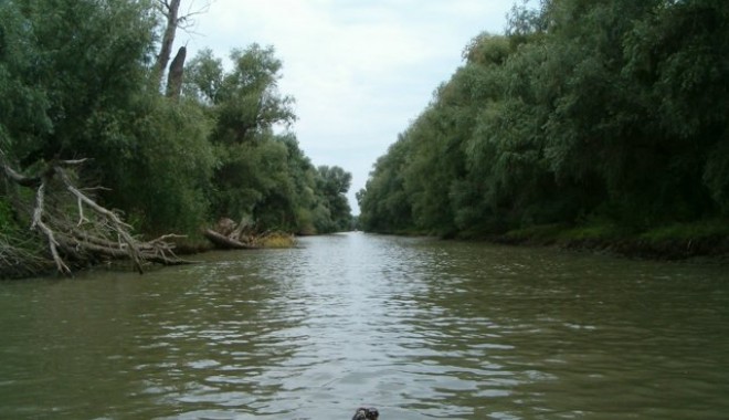 Delta Dunării, declarată zonă defavorizată - peisajedeltadunarii-1350995707.jpg