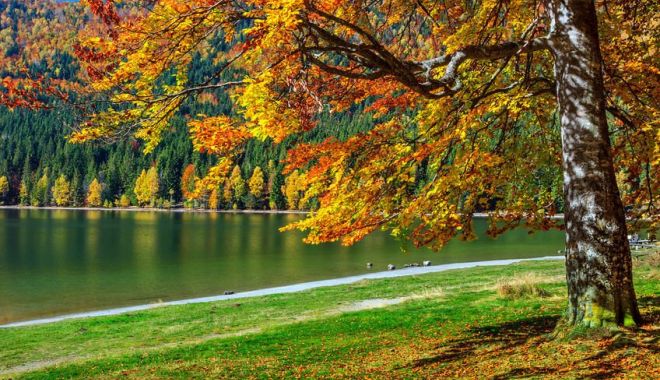 Cum va fi vremea în următoarele patru săptămâni. Prognoza meteo până la jumătatea lunii septembrie
