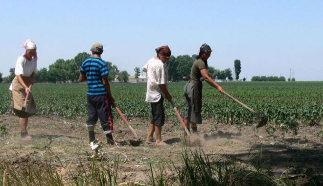 Pensiile din agricultură sunt foarte mici - pensiiledinagricultura-1614972637.jpg