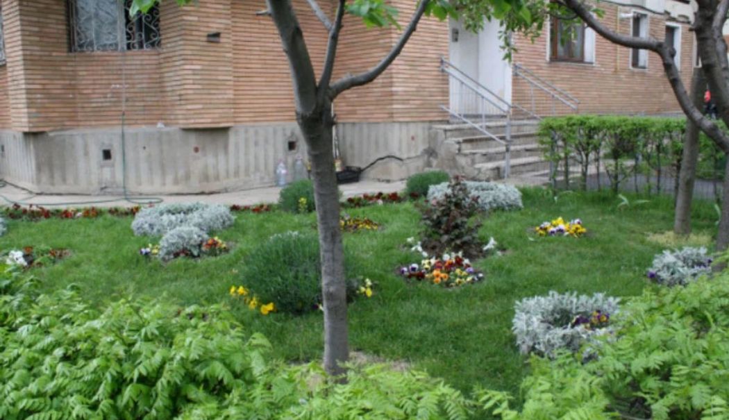 Pensionară amendată dintr-un motiv ireal! A vrut să facă ceva frumos, dar a ieșit altceva - pensionara-amendata-1714147717.jpg