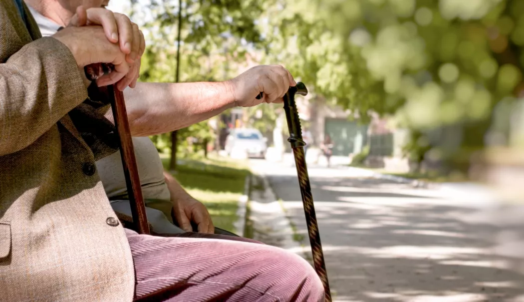 Foto - Un pensionar de 77 de ani a rămas fără economiile de o viață după o fraudă bine pusă la punct