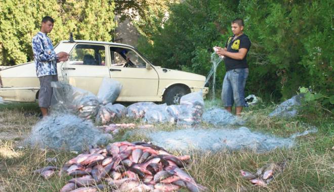 Percheziții în Constanța și Tulcea. Vizați: braconierii - perchezitiiinctsitl-1417536820.jpg