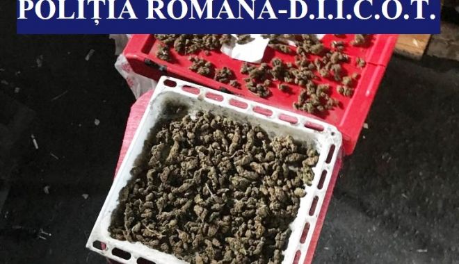 Percheziții în Techirghiol și Eforie, la o grupare de traficanți de droguri și de carne vie - perchezitiitechirghiol1-1568405841.jpg