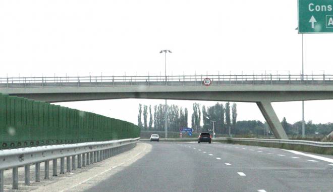 Perdea forestieră pentru protecția Autostrăzii Soarelui - perdeaforestiera-1415811984.jpg