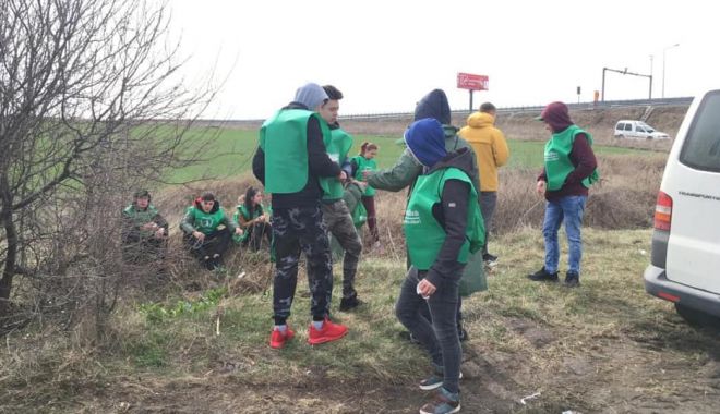 Perdea forestieră de protecție pentru Autostrada Soarelui - perdeaforestiera2-1552598651.jpg