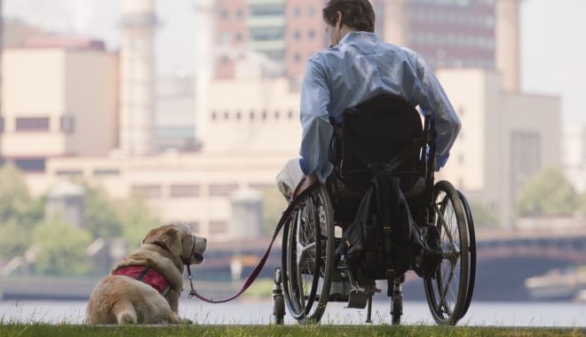 Senatul a decis: Persoanele cu dizabilități vor avea acces cu animale ghid în spații publice - persoane-dizabilitati-1698314098.jpg