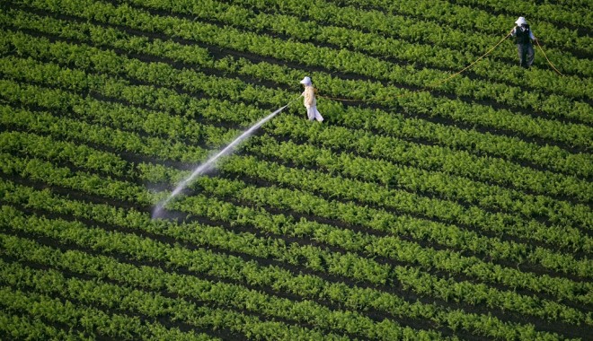 Modificări privind accesarea fondurilor în agricultura ecologică - pes-1346968178.jpg
