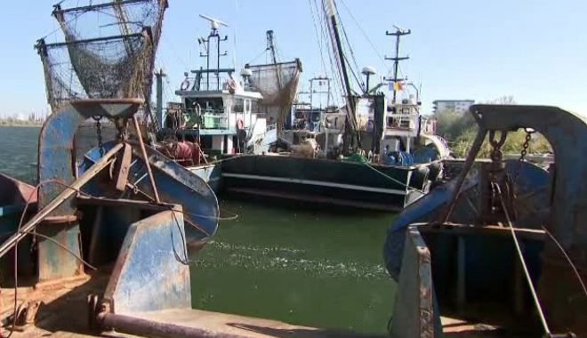 Mai multe firme de pescuit care au primit 645.000 euro trebuie să returneze întreaga sumă - pescador-1695834455.jpg