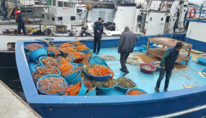 Pescador turcesc oprit cu focuri de armă, după ce a intrat în nava Poliției de Frontieră - pescador1-1491408099.jpg