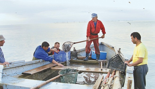 Pescarii ar putea avea o nouă bucurie. Uite ce le pregătește administrația județeană! - pescari-1317066944.jpg