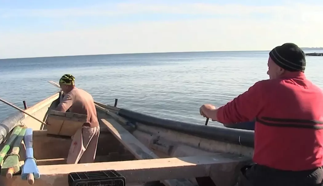 Restricții pe Dunăre! Prohibiție totală la scrumbie - pescari-1774968883.webp