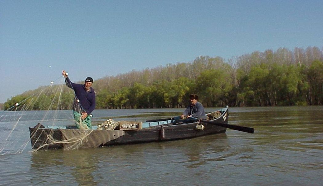 Noi obligații pentru pescarii comerciali din Delta Dunării - pescari-comerciali-delta-dunarii-1716563130.jpg