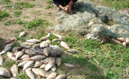Plase monofilament și sute de kilograme de pește, confiscate - peste-1360750999.jpg