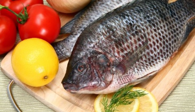 Pește toxic, pe piață! CE NU ȘTIAI despre SOMON, PĂSTRĂV sau PANGASIUS! Cum alegi PEȘTELE CEL MAI SĂNĂTOS - peste-1478680540.jpg