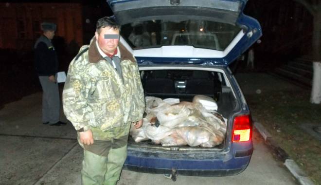Sute de kilograme de pește, confiscate de ofițerii Gărzii de Coastă - peste1-1452622757.jpg