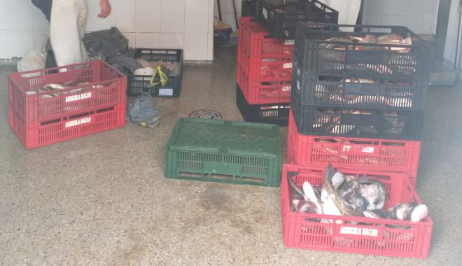 Peste 120 de kg de peşte, confiscate de poliţiştii de frontieră - peste120kgpeste-1602080563.jpg