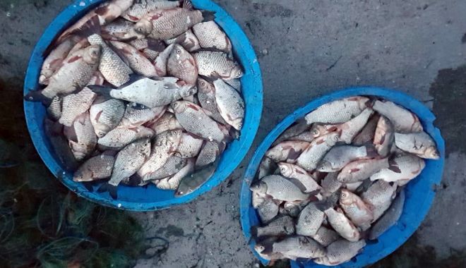 Dosare penale pentru săvârşirea infracţiunii de braconaj piscicol - peste2-1648555736.jpg