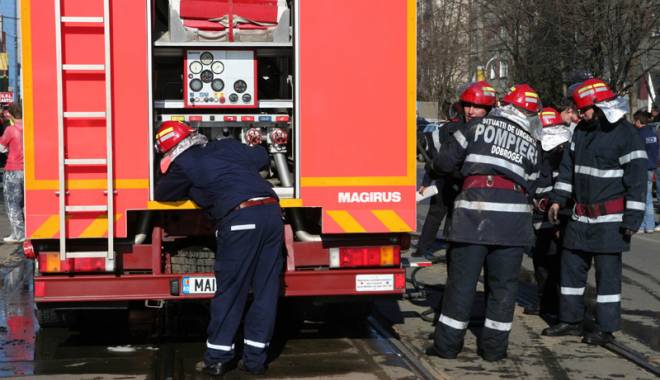 20 de hectare de pădure făcute scrum - peste20dehectarefacutescrum-1438714255.jpg