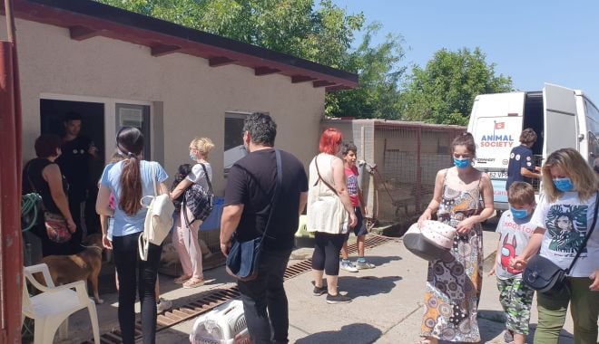 Peste 220 de animale sterilizate, în numai două zile ale Maratonului Responsabilității, la Constanţa - peste220-1626339538.jpg
