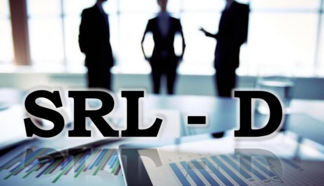 Peste 41.000  de SRL-uri debutant, lovite de  