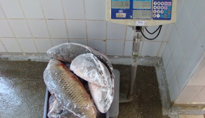 Aproape 180 kilograme pește, confiscate de polițiștii de frontieră - pesteconfiscat-1386152623.jpg