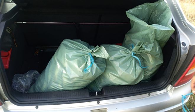 Zeci de kilograme  de pește fără documente legale, confiscate  de polițiștii de frontieră - pesteconfiscat-1539967635.jpg