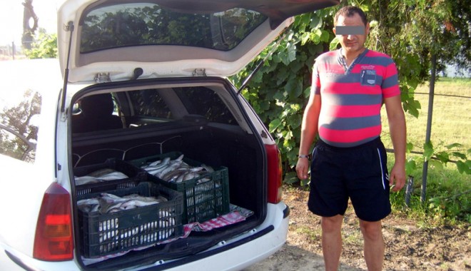 85 kilograme de pește  confiscate la Midia - pestegardadecoasta-1375804290.jpg