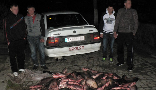 Vindeau pește alterat - pestemedg-1364140996.jpg