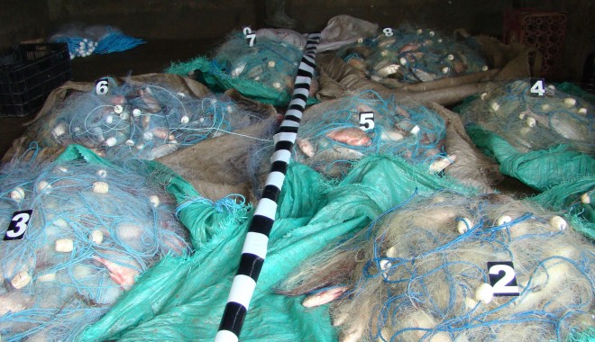 Pește și plasă monofilament, confiscate de polițiștii de frontieră - pesteplasa-1394198824.jpg
