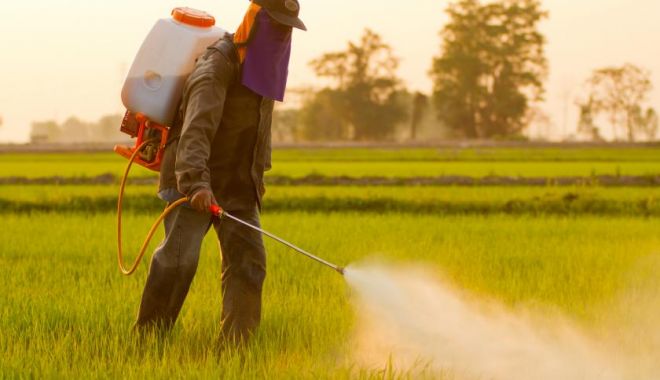 Pesticide aruncate la întâmplare! Zeci de căprioare, iepuri și păsări, găsite otrăvite pe câmp - pesticide-1552826187.jpg