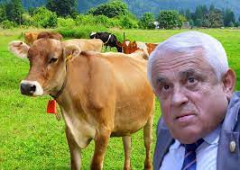 Petre Daea anunță o premieră în România, sprijinul de „bunăstare pentru taurine” - petre-1674147561.jpg