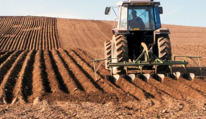 Piața terenurilor agricole din județul Constanța mustește de oferte de vânzare - piataterenuriloragricoledinjudet-1592230318.jpg