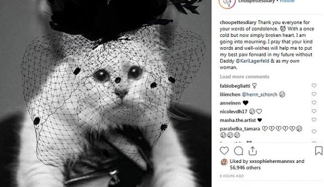 Pisica lui Karl Lagerfeld va lansa o linie de haine, în memoria creatorului de modă - pisica-1552726518.jpg