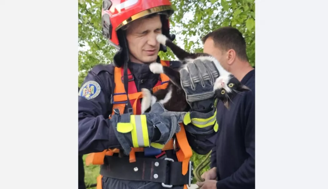 Salvare spectaculoasă cu final fericit. Pompierii au scos o pisică blocată într-o fântână - pisica-salvata-1777889649.webp