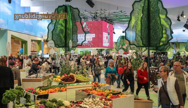 Plăcinta dobrogeană și alte delicatese românești sunt în vizită la Berlin - placintadobrogeanaberlin-1579120616.jpg