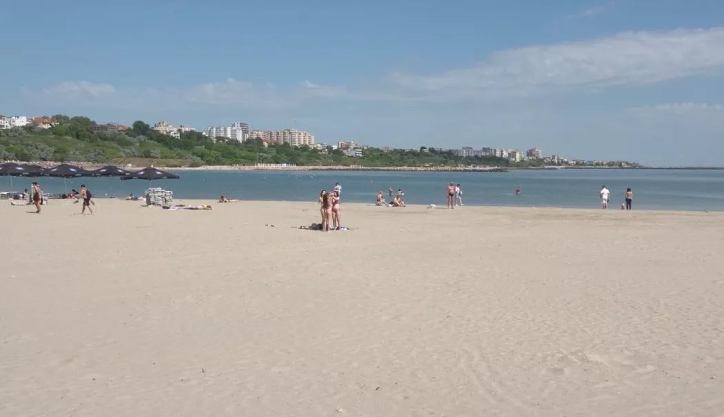 Foto - Diana Buzoianu vrea copaci pe plajele lărgite. „Vrem un turism de calitate”