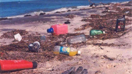 Zece gesturi eco pe care le poți face pe plajă - plajagunoi-1310538184.jpg