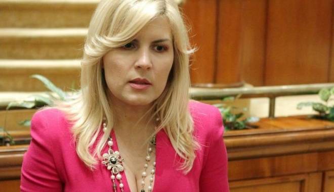 Avocatul Elenei Udrea, plângeri la CEDO - plangerilacedo-1428331915.jpg
