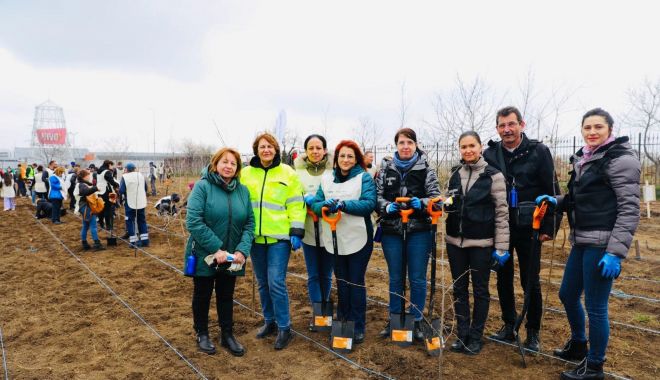 Activitate în aer liber. 10000 de puieți, plantați în orașul Constanța