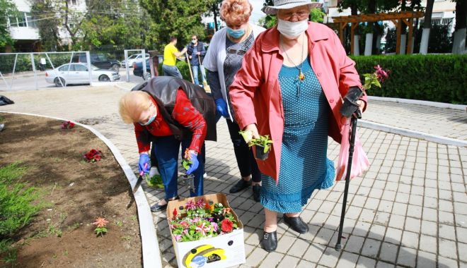 Căminul de bătrâni a fost înfrumuseţat cu flori - plantare1-1621622690.jpg