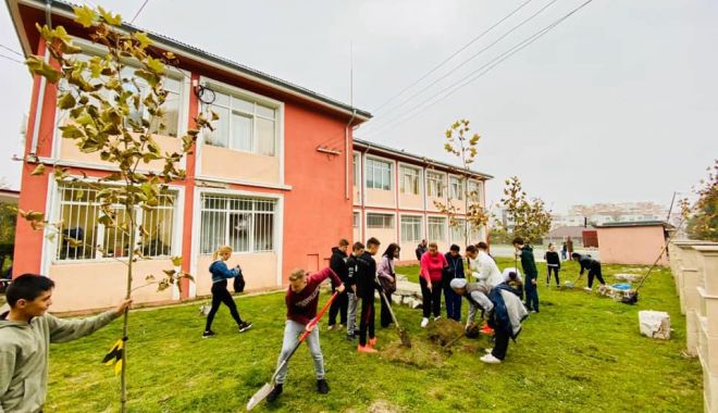 Elevii, tot mai implicați! Sute de copaci, plantați la Năvodari - plantare6-1572003319.jpg